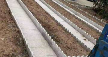 三沙芝麻白花边石