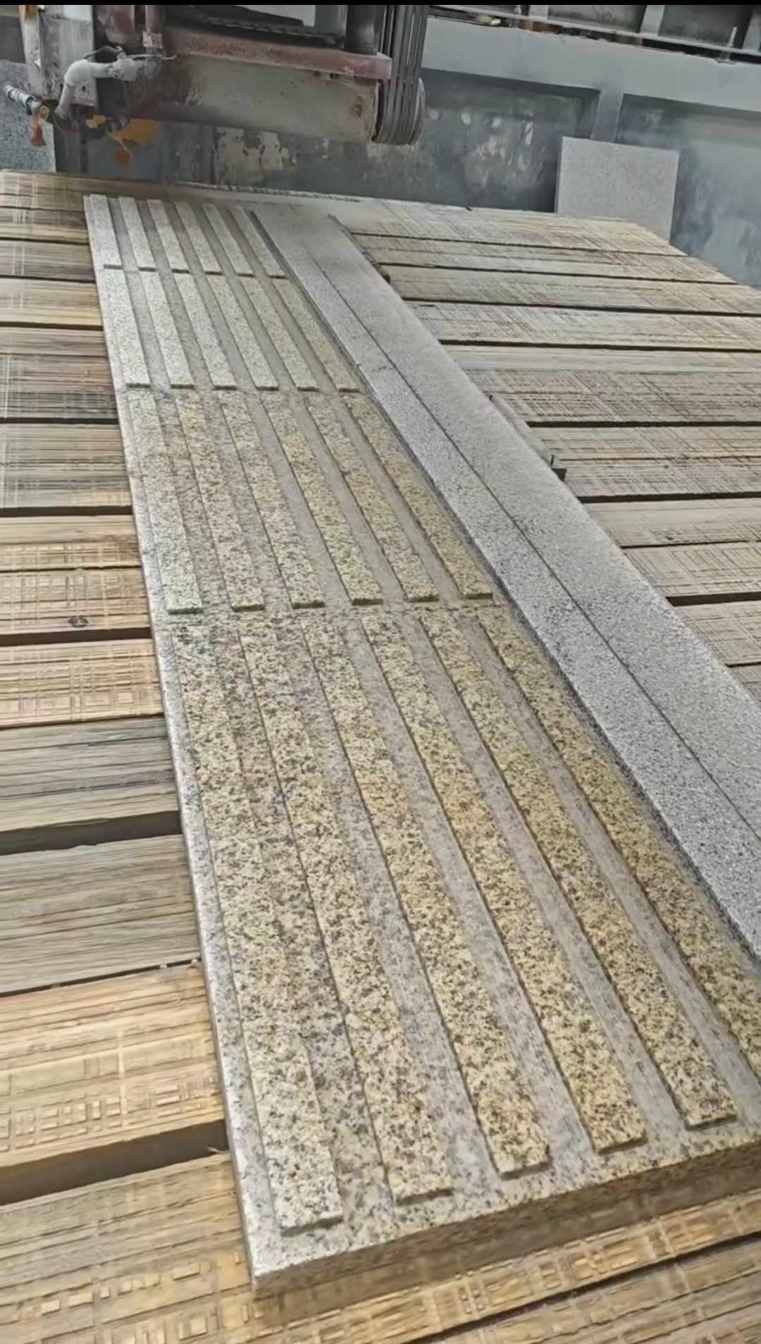 三沙黄金麻盲道石 盲条